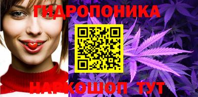 сатива Кунгур