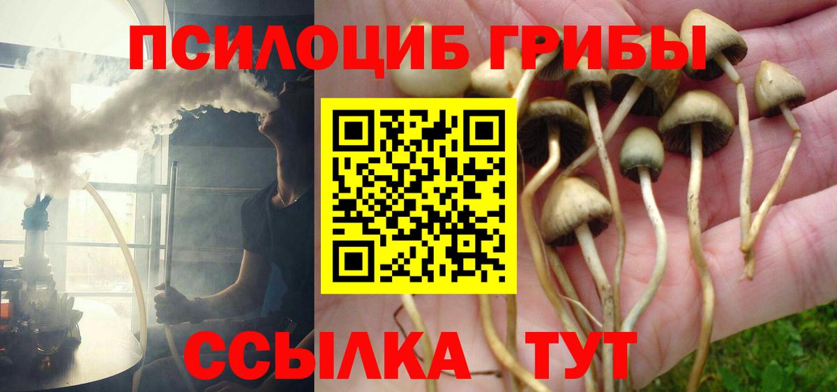 Псилоцибиновые грибы мухоморы Арзамас